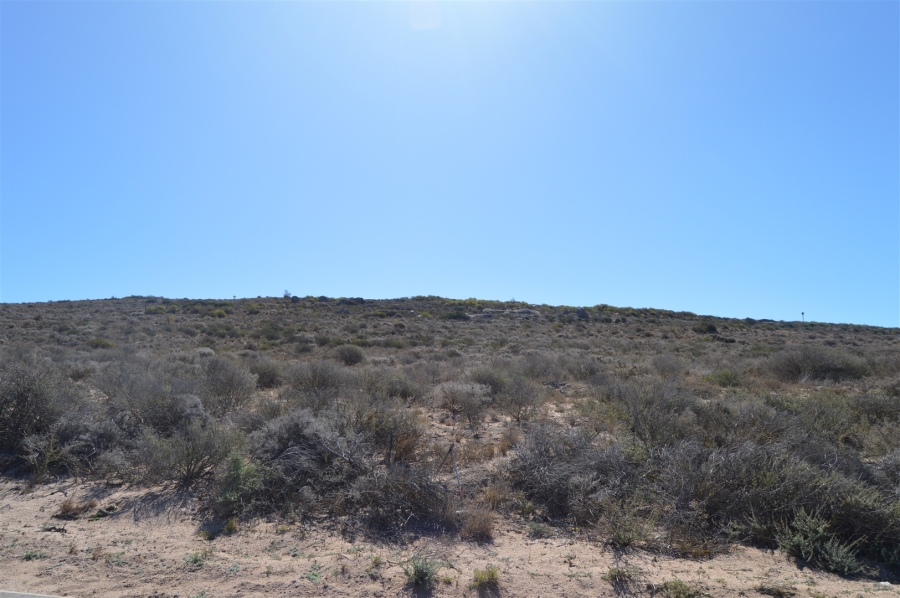 0 Bedroom Property for Sale in Britannica Heights Western Cape